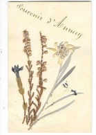 ANNECY (74) Carte Souvenir Fabriquée Avec Des Fleurs Des Montagnes - Annecy