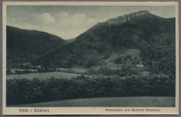 Ilfeld  Südharz  Bahnhof Netzkater  Uber 1930y.  B856 - Nordhausen