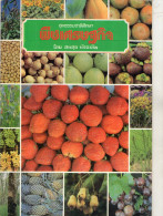 LIVRETS Fruits,Legumes Et Céréales D'ASIE  (lot De 3)   ANNEE 1977 - Practical