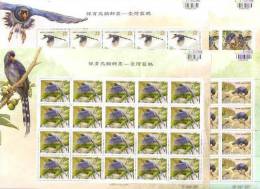 Taiwan 2008 Conservation Of Birds Stamps Sheets - Blue Magpie Bird Forest Tung Flower Bug - Blocchi & Foglietti