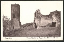 AK Targoviste, Tarnu Chindia U Ruinen Des Fürsten Schlosses - Romania