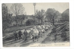 14047 -  Scènes Vaudoises Départ Pour L'alpe Troupeu De Vaches Les Charbonnières (Attention 2 Trous De Punaise) - Le Lieu