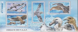 Antarctic - T.A.A.F.2016.Birds.Sheet.4v.MNH 22461-V3 - Neufs