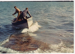 Thème PECHE EN BATEAU EN BRETAGNE RETOUR DE PECHE - Pêche