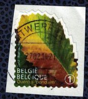 Belgique 2012 Oblitéré Rond Sur Fragment Used Feuille D'arbre Quercus Pondaim Chêne Hybride SU - Used Stamps