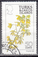 Turks And Caicos    Scott No  797    Used     Year  1990 - Turcas Y Caicos