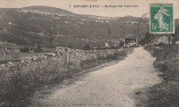 SANTENAY LE HAUT (Côte D'Or) - Montagne Des Trois Croix - Other & Unclassified