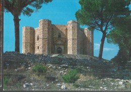 ADRIA CASTEL DEL MONTE, PANORAMA..VIAGGIATA .NO,1980-FG-C1831.T - Andria