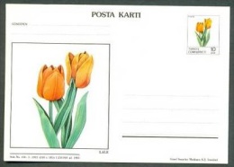 1983 TURKEY TULIP ILLUSTRATION POSTCARD - Ganzsachen