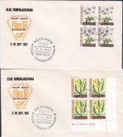 Iceland FÉLAG FRIMERKJASAFNARA Hans Hals FILEX 67 REYKJAVIK 1967 Covers Briefe 4-Blocks W. Margin - Briefe U. Dokumente