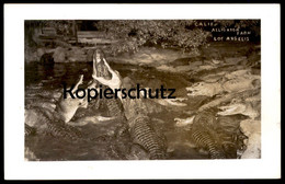 ALTE POSTKARTE CALIFORNIA ALLIGATOR FARM LOS ANGELES Crocodile Krokodile Fütterung ? Postcard Ansichtskarte AK Cpa - Los Angeles