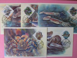 1993 Russia - Marine Creatures - FDC Maxicards, Full Set Of 5v. - Maximum Cards