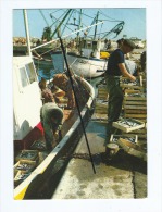 CPM -  Scène De Pêche En Méditerranée - Le Déchargement Des Sardines Au Retour De La Pêche - Bateaux - Pêcheurs - Fishing