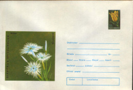 Romania - Postal Stationery Cover 1974,unused - Medicinal Plants -  Dianthus - Plantes Médicinales