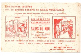 Buvard Briquette Salins Du Midi Montpellier Animaux Vaches à L'étable, Au Pré - Animales