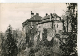 CPSM GF : LA PETITE PIERRE : Le Château (N° 5271) : Belle Vue De Ce Château Avec Les Grands Arbres Derrière - La Petite Pierre