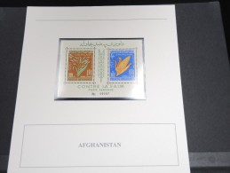 AFGHANISTAN - Bloc Luxe Avec Texte Explicatif - Belle Qualité - À Voir -  N° 11492 - Afghanistan