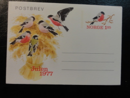 Postal Stationery Julen 1977 Bird Oiseau Pajaro  Norway - Entiers Postaux