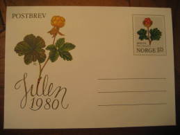 POSTBREV 1,25 Flora Postal Stationery Cover Norway Norvege - Entiers Postaux