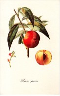A 4054 -  Fiori Frutti Alberi - Árboles