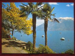 Locarno (TI) - Muralto: Lungolago - Muralto