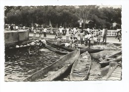 COF.0049/ Port-Gentil - (Les Pirogues De Poissons Au Marché) - Gabon