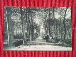 Verdun Sur Garonne , La Route De Dieupentale - Verdun Sur Garonne