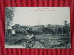 Verdun Sur Garonne , Vue Générale - Verdun Sur Garonne