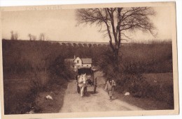 LUSIGNAN. - Le Chemin Du Parc Et Le Viaduc Du Chemin De Fer - Lusignan