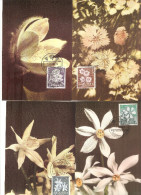 Serie De 4 Tarjetas Maximas De Andorra. Flora- 1966 - Andere & Zonder Classificatie