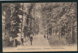 NOUVION EN PONTHIEU - L'Avenue Ou L'Allée Du Château - Nouvion