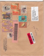 Argentina 2009 - - Lettera Racc..  X L´Italia Affrancata Con 12 Stamps - Lettres & Documents