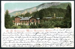 Goisern, K.u.k. Erzherzogin Maria Valerie - Bad, LITHO, Gelaufen Ca. 1910, Verlag H.N.W.I., - Gmunden