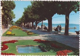 SUISSE,HELVETIA,SWISS,SWITZERLAND,SCHWEIZ,SVIZZERA ,NEUCHATEL,IL Y A 50 ANS,jardin,OSTERWALD - Neuchâtel