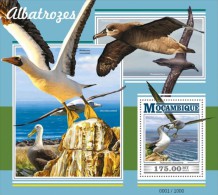 Mozambico 2015, Animals, Albatrosses,BF - Albatrosse & Sturmvögel