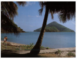 (75) Australia - QLD - Whitsundays Mid Molle Island - Mackay / Whitsundays