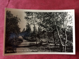 Nederland. Rhenen. Boschlaantje Bij De Koerheuvel - Rhenen