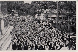 38597- ALBUM NR 15, PICTURE NR 102, GROUP NR 67, ADOLF HITLER - Geschichte