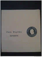 2 Centavos Faja Postal Impresos Wrapper Periodicos Newspapers Postal Stationery Entero Postal Republica Argentina - Enteros Postales