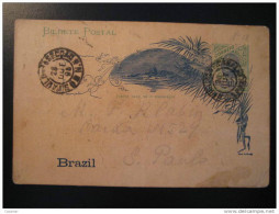 S. Carlo 1898 To Sao Paulo Bilhete Postal Stationery Card Brazil Brasil - Storia Postale