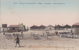 Afrique - Sénégal - Dakar - Abattoirs - Senegal