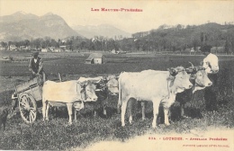 Lourdes - Attelage De 4 Boeufs Pyrénéens - Edition Labouche Frères - Carte LB Non Circulée N°834 - Attelages