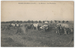 77 - SEINE ET MARNE - ROISSY EN BRIE - LES MOISSONS. LES FAUCHEUSES. ATTELAGES BOEUFS. PAYSANS CULTIVATEURS GERBES BLÉ - Roissy En Brie