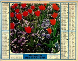 ALMANACH DES P.T.T 1978 (67)  -  Complet ** TULIPES ET PENSEES - GROSEILLERS A FLEURS **   -  Calendrier * OLLER * N*213 - Formato Grande : 1971-80