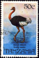 BIRDS-COMMON OSTRICH-TANZANIA-1982-CTO-B9-45 - Autruches