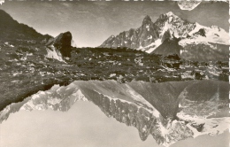 Carte Postale De Chamonix ( Haute Savoie )  Le Lac Blanc Et L’aiguille Verte - Chamoux Sur Gelon