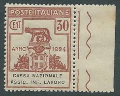 1924 REGNO PARASTATALI CASSA NAZIONALE LAVORO 30 CENT MNH ** - M42-3 - Franchise