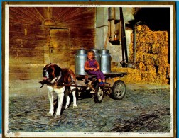 ALMANACH DES P.T.T. 1969 (60)  -  ** LA LAITIERE Et SON ATTELAGE CHIEN ** Photo ; FOTOGRAM - Calendrier : OBERTHUR - Big : 1961-70