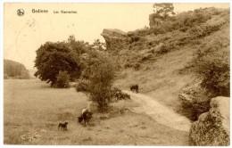 Gedinne. Les Wanroches. Envoyée En 1931, Verso: Camp De Vacances YWCA "Les Fauvettes" Louette-Saint-Pierre. - Gedinne