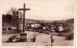 CPSM ANIMÉE - PAVILLY (76) : Vue Du Calvaire - Pavilly